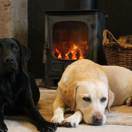 Cardross Holiday Cottages Arnprior Exteriör bild