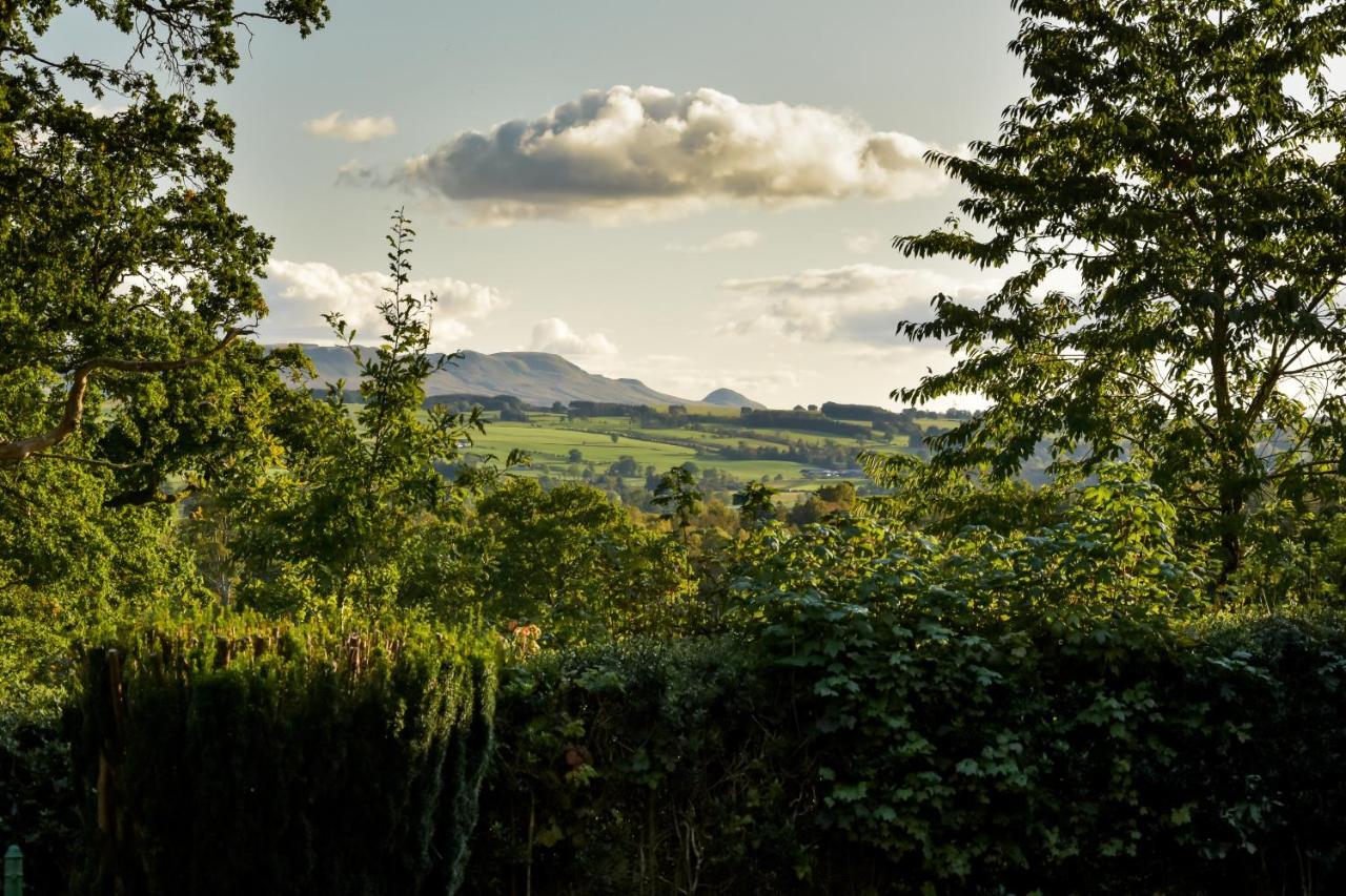Cardross Holiday Cottages Arnprior Exteriör bild